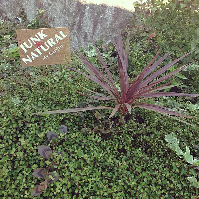 motukoさんの実例写真