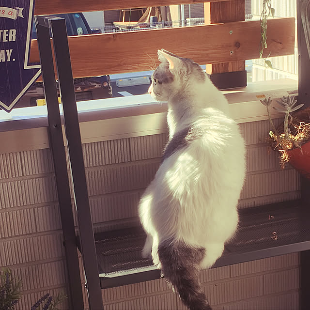 Miechamさんの実例写真