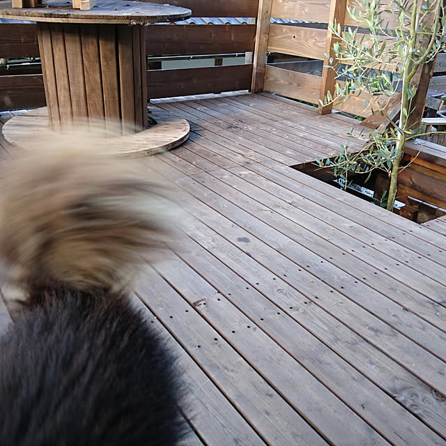 ciiiさんの実例写真