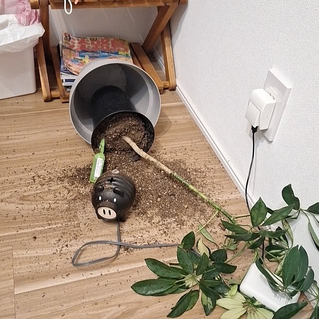 otokiさんの部屋