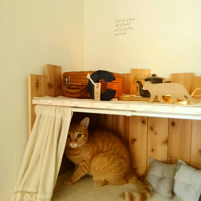 mayutan.さんの実例写真