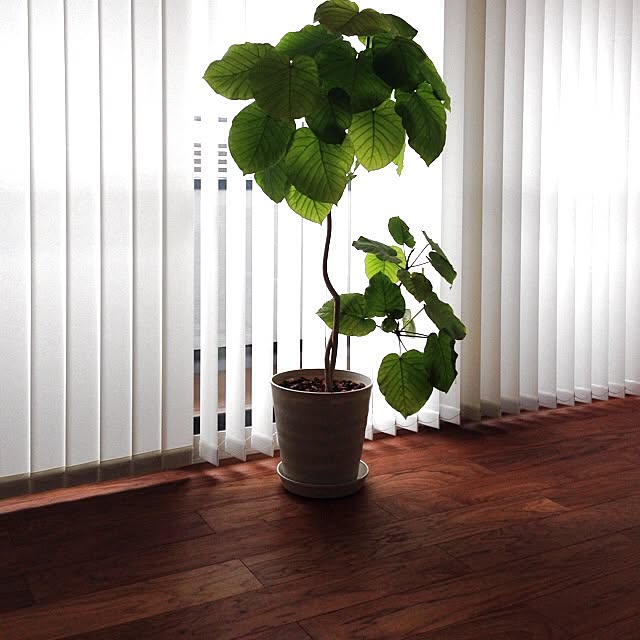 tkさんの実例写真