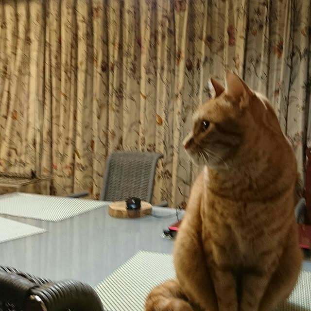 okyosan101さんの実例写真
