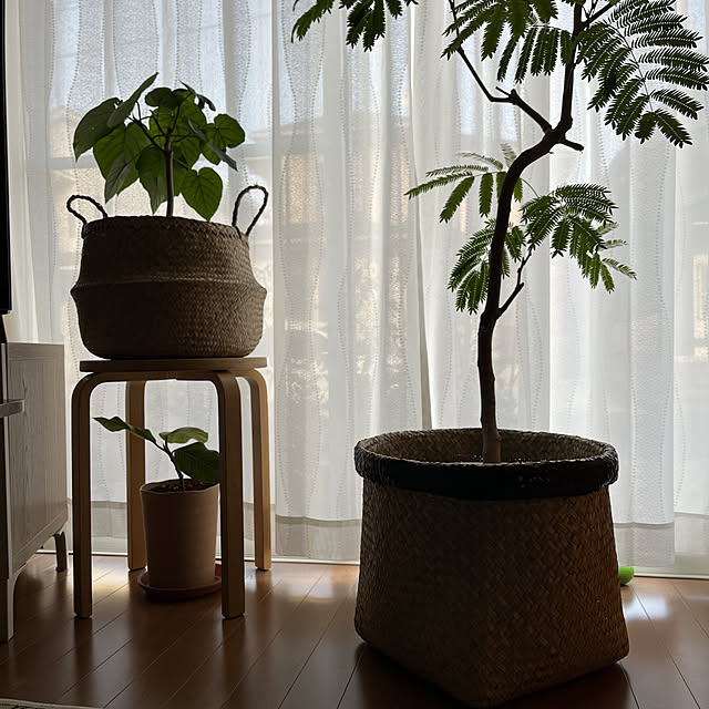 siosai10さんの実例写真