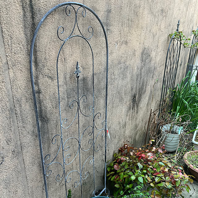 fumikoiさんの実例写真