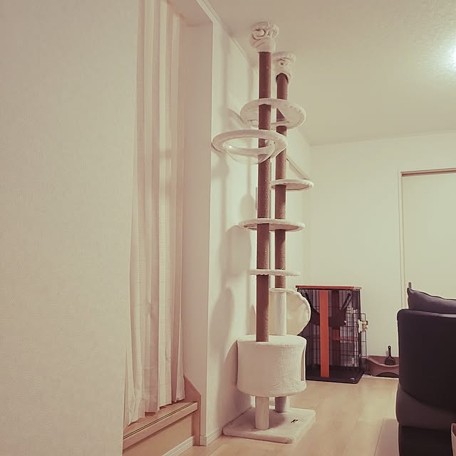asahinaさんの実例写真