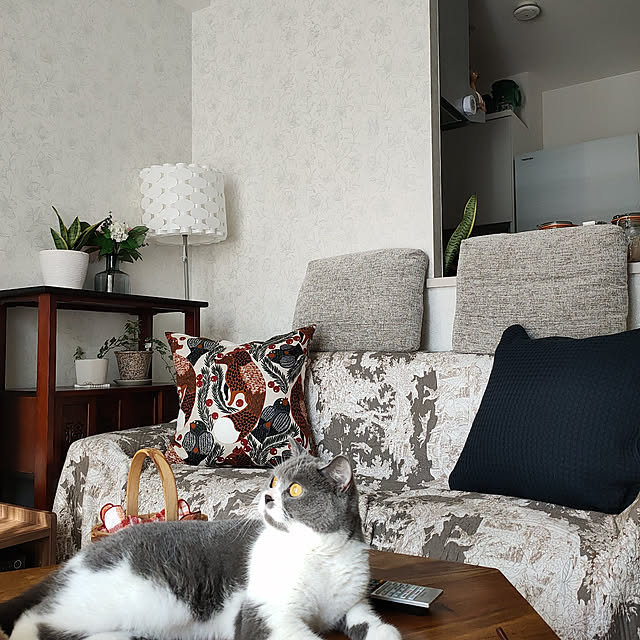 KEIKOさんの実例写真