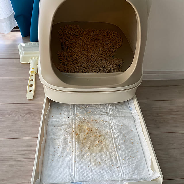 rengeさんの部屋