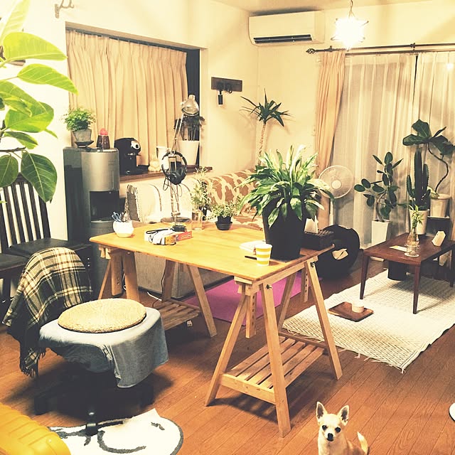 リビング/IKEA/アンティーク/観葉植物/多肉植物...などのインテリア実例 - 2016-02-28 03:56:18