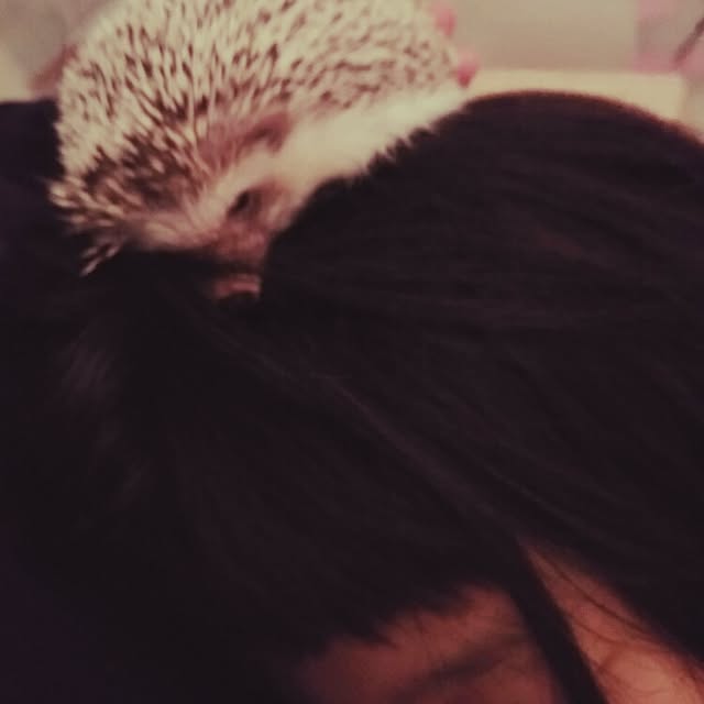 kuruさんの実例写真