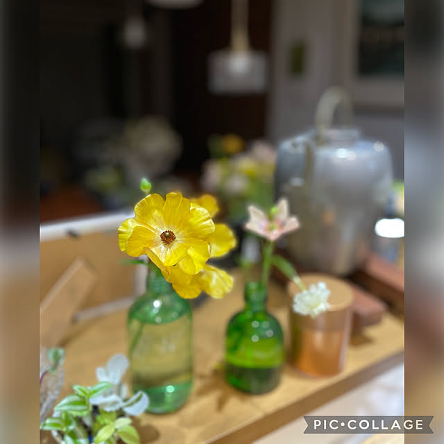 buchiさんの部屋