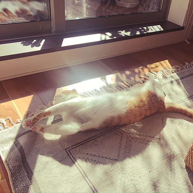 Kobamiさんの実例写真