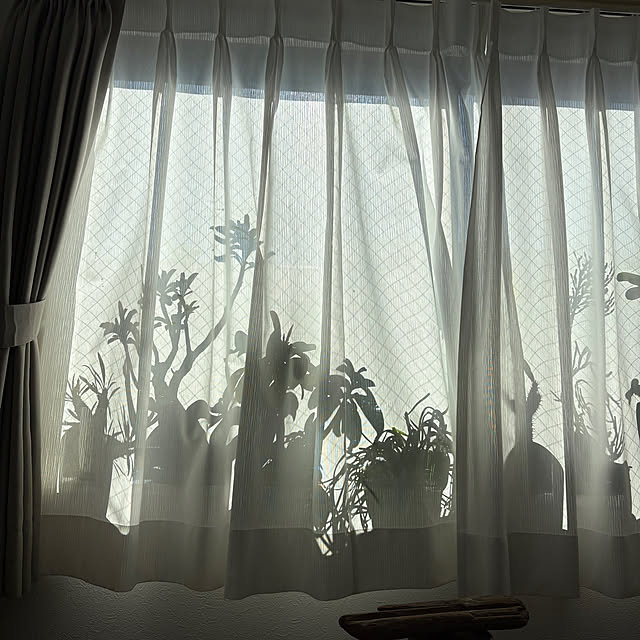 otanuさんの実例写真