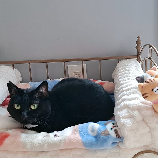 moko.7525himeさんの部屋