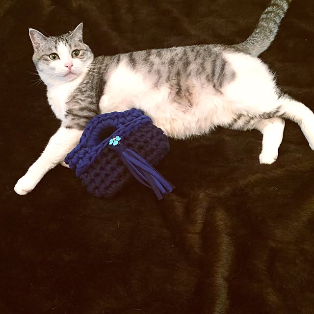 emmyyさんの実例写真