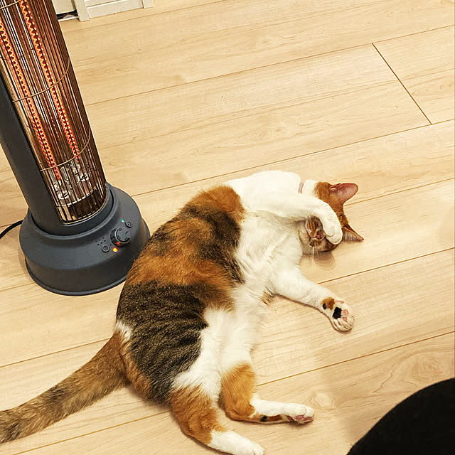 mariさんの実例写真