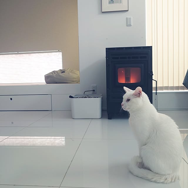 Blackcatさんの実例写真
