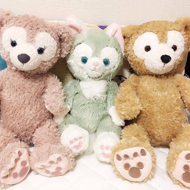 belleさんの実例写真