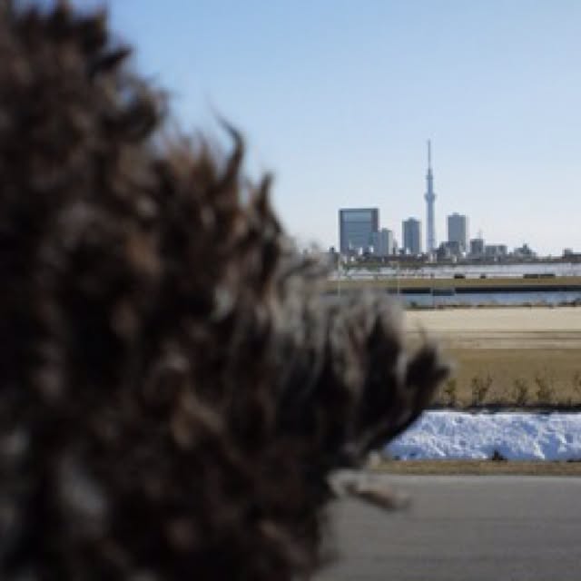 keitanさんの実例写真