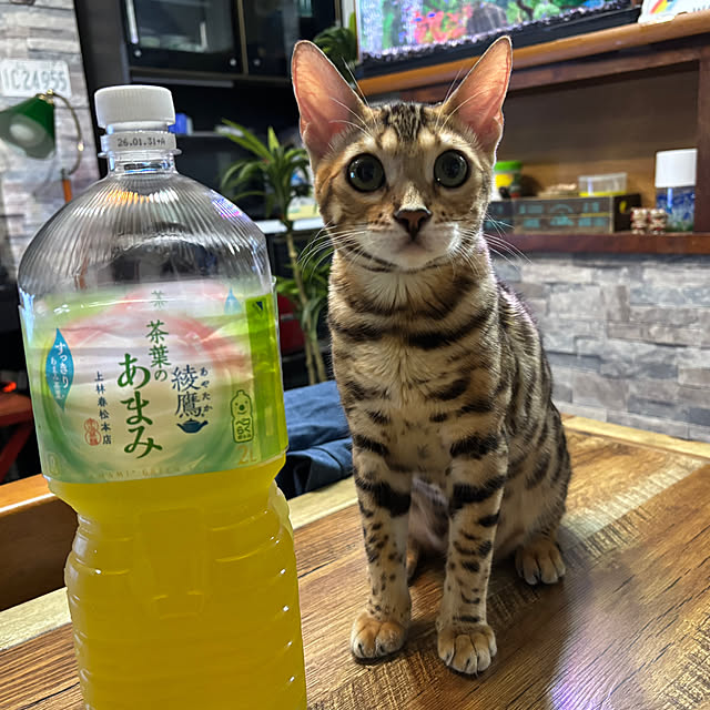 tututu0204さんの部屋