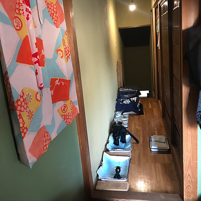 neko-2.2.2runmuさんの実例写真