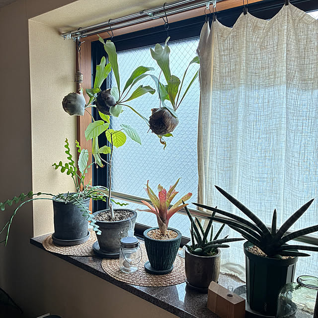 jjさんの実例写真