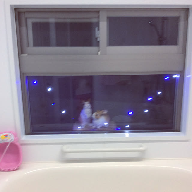 バス/トイレのインテリア実例 - 2018-08-27 21:09:36