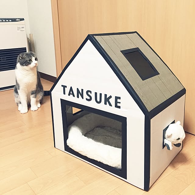 tansukeさんの実例写真