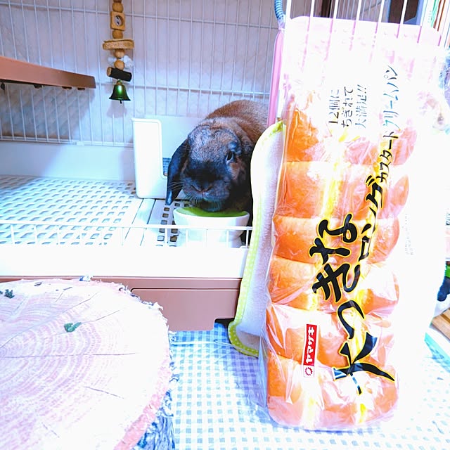mariaさんの部屋