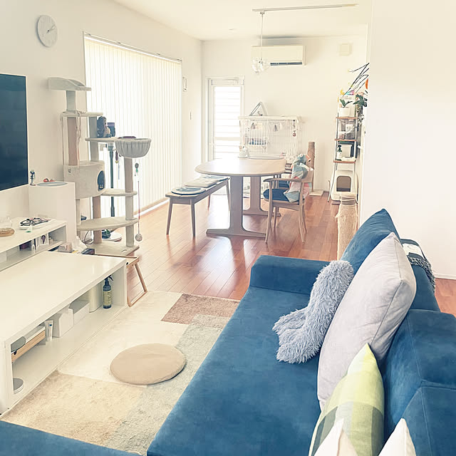 sayapiさんの部屋