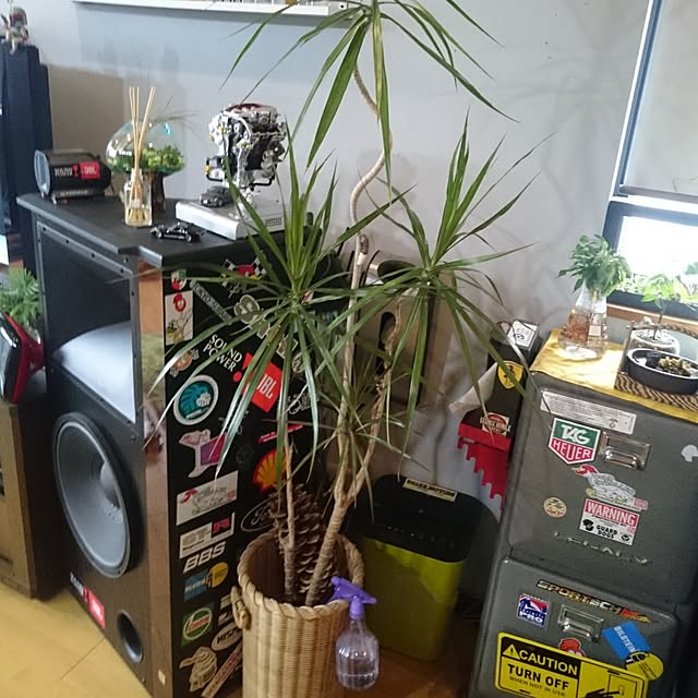 実例写真