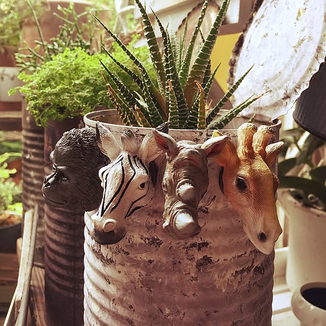 Bikkeさんの実例写真