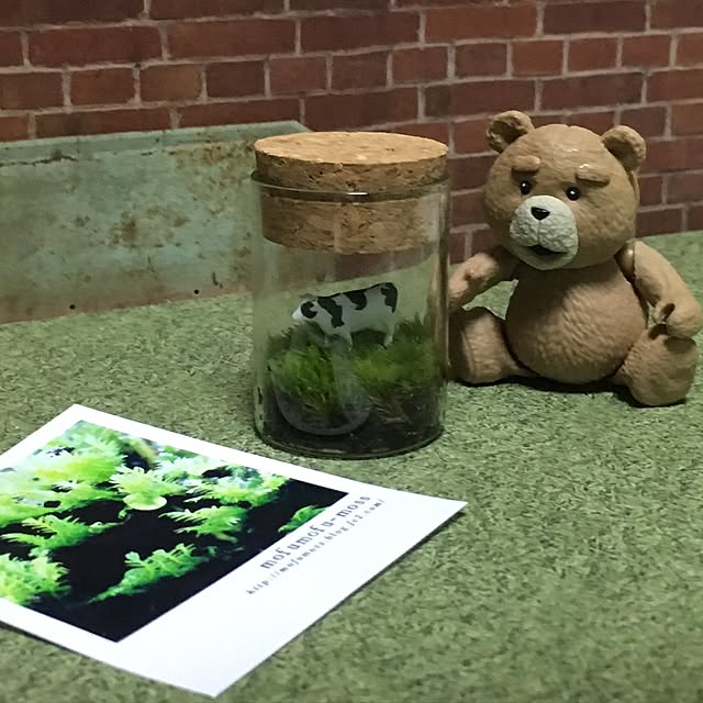 imachanさんの実例写真