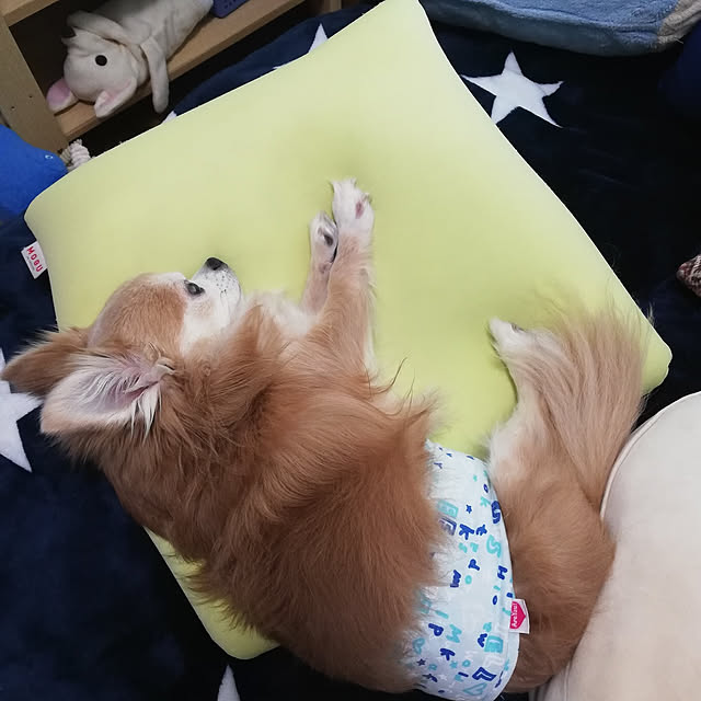 Eirさんの実例写真