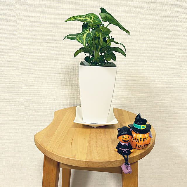yoyoyoさんの部屋