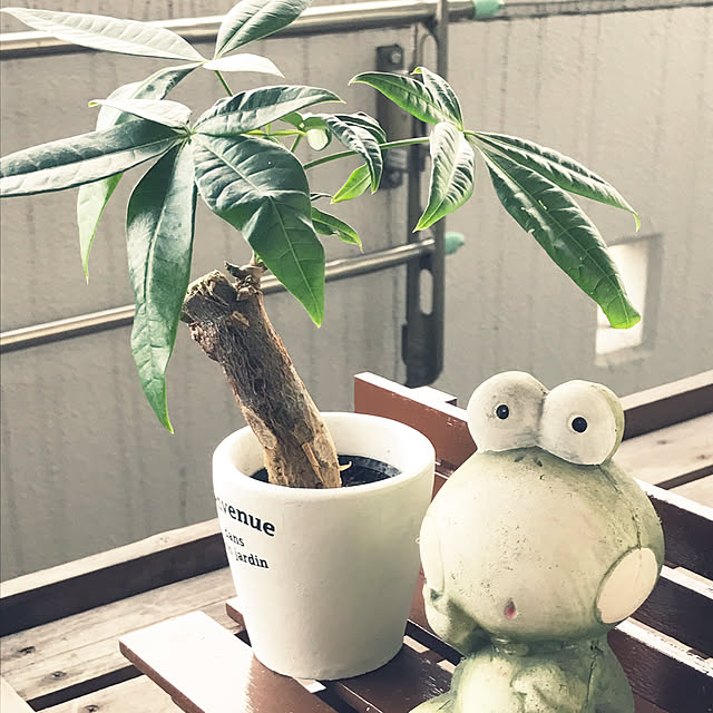 rinrinさんの実例写真