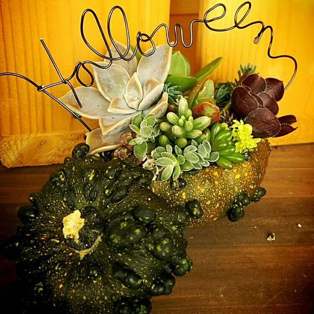 ワイヤークラフト 多肉植物寄せ植えのおしゃれなアレンジ・飾り ワイヤークラフト 多肉植物寄せ植えのおしゃれなアレンジ・飾り
