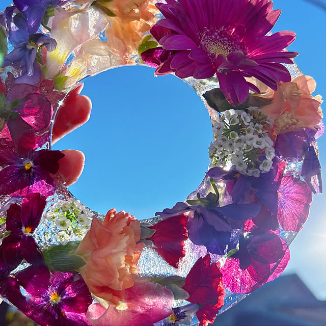 portulacaさんの実例写真