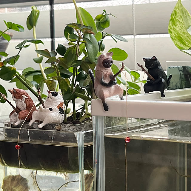 kurumeruさんの部屋