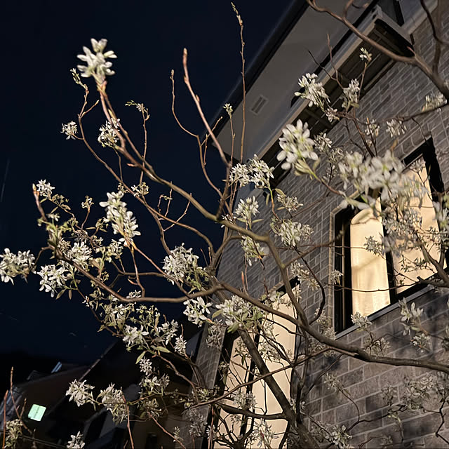 Yumiさんの実例写真