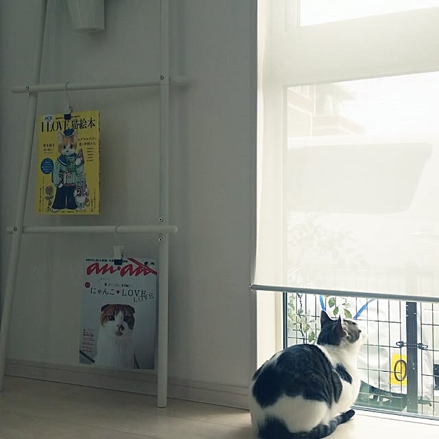 runayucoさんの実例写真