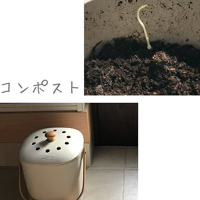 mamikoさんの実例写真
