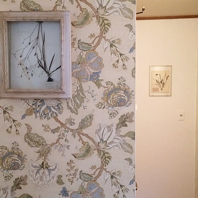 Mikaさんの実例写真