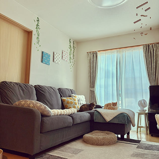 chiiさんの実例写真