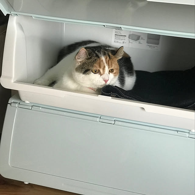 RAINBOWさんの実例写真