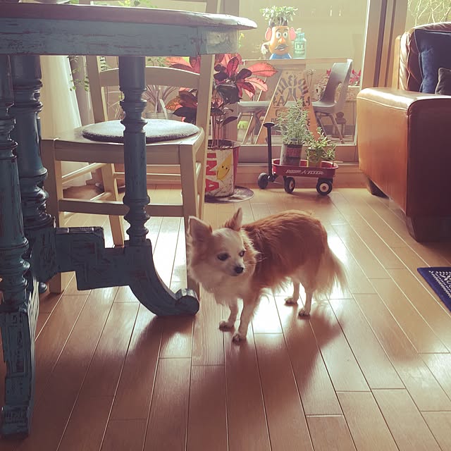 実例写真