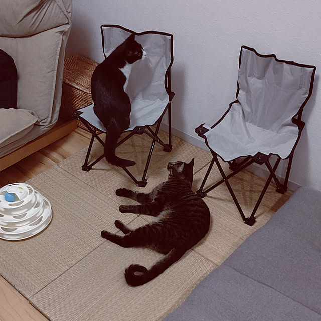 hihaさんの実例写真