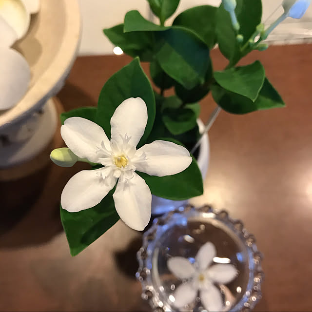 Nagakoさんの実例写真