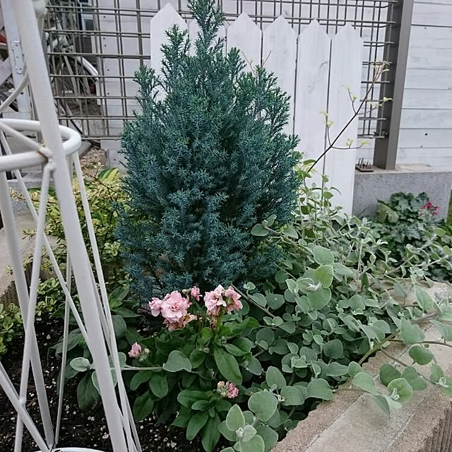 Makikoさんの実例写真