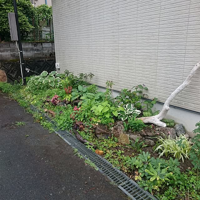 pepeさんの実例写真